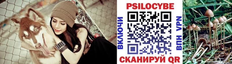 omg ССЫЛКА  Новое Девяткино  Псилоцибиновые грибы GOLDEN TEACHER  наркошоп 